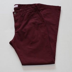 Express Chino Pants